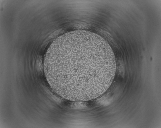 X0000087360622200705181153