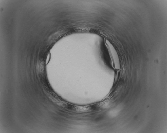 X0000087360623200705181153