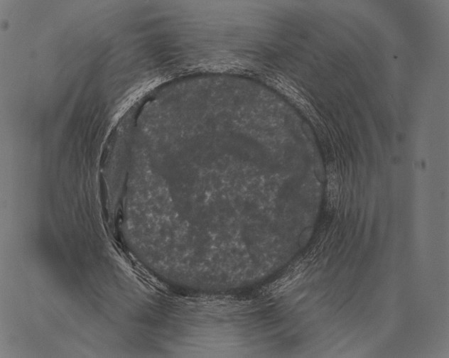 X0000087360626200705181152