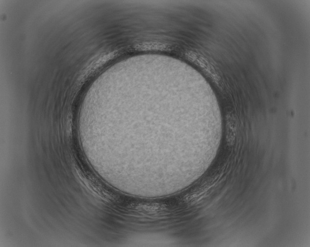 X0000087360631200705181152