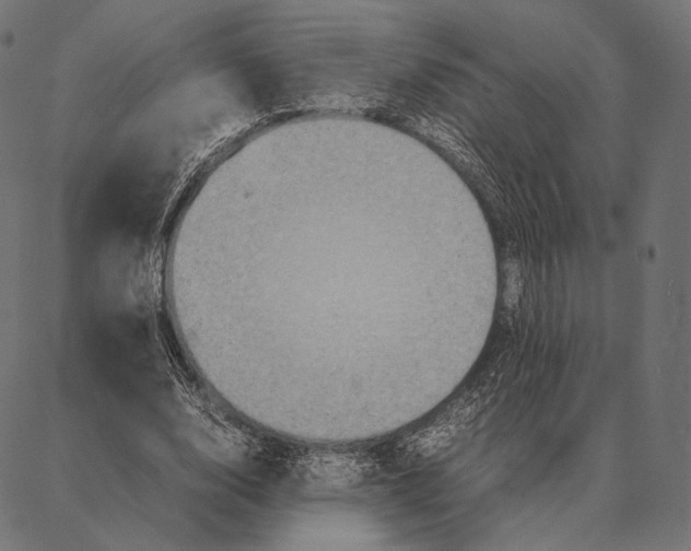 X0000087360632200705181152