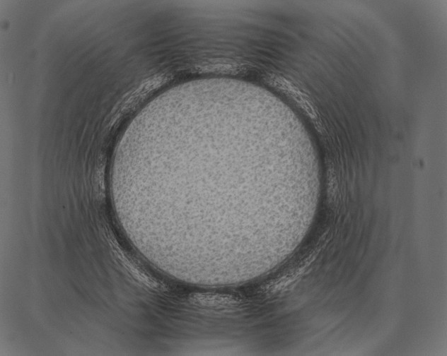 X0000087360633200705181152