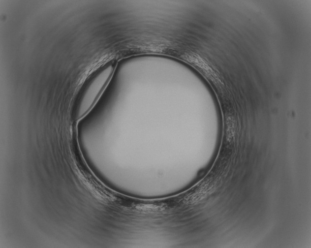 X0000087360634200705181152