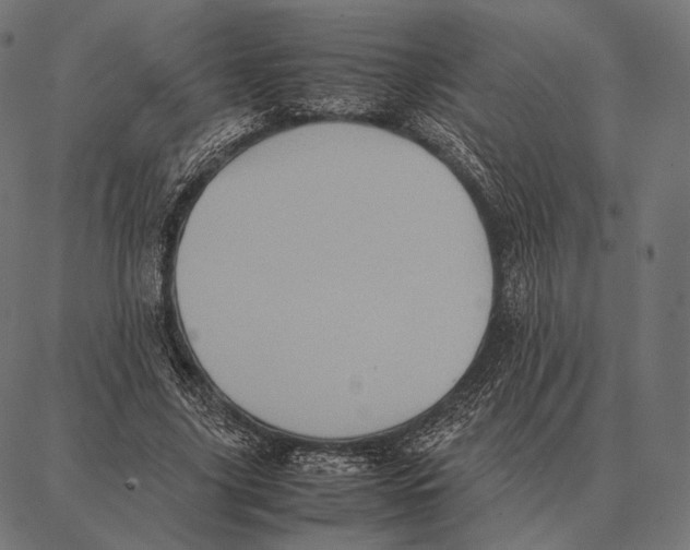 X0000087360635200705181152