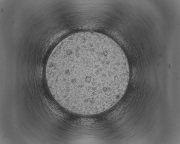 X0000087360636200705181152