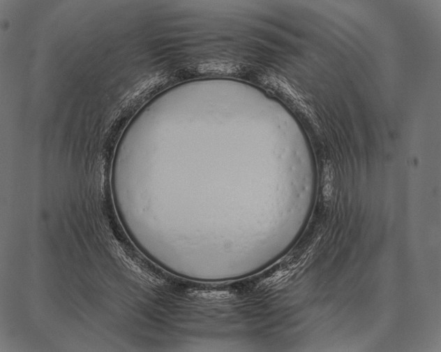 X0000087360637200705181152