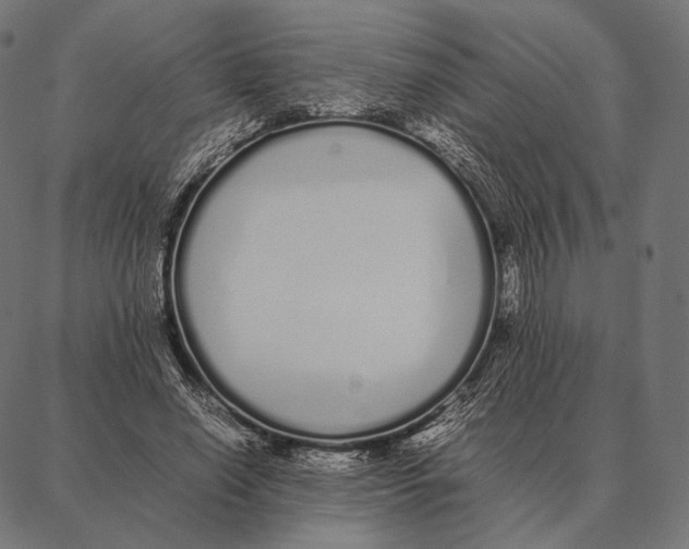 X0000087360638200705181152