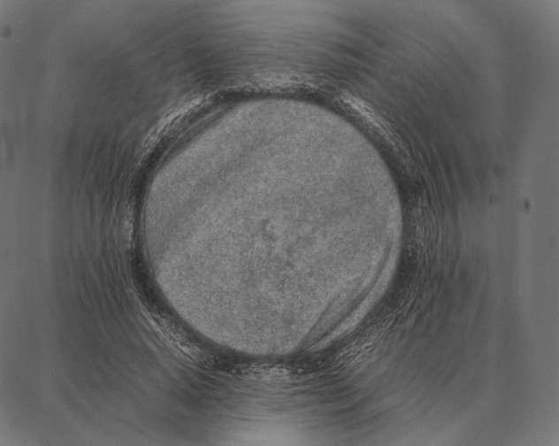 X0000087360640200705181152