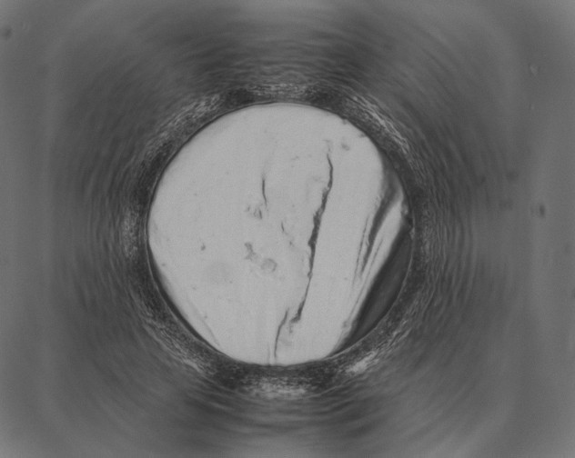 X0000087360641200705181152