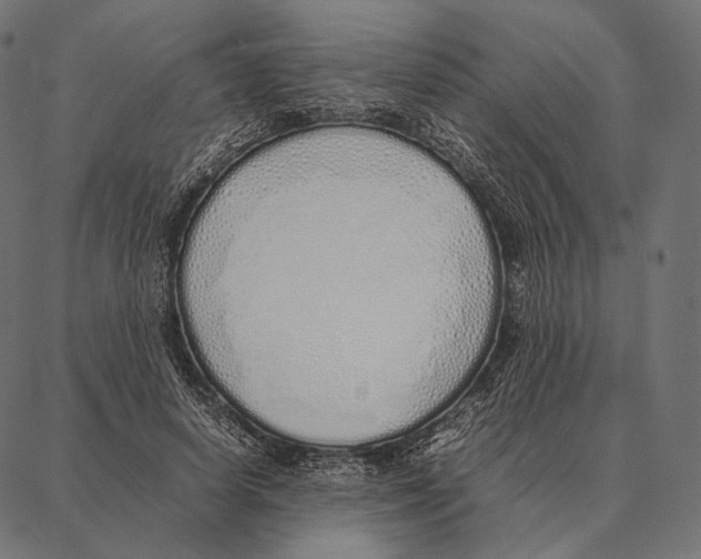 X0000087360642200705181152