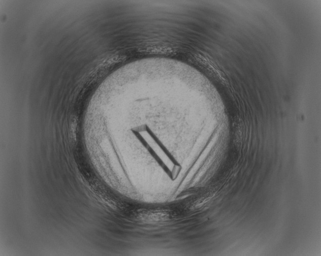 X0000087360643200705181152