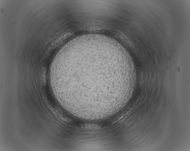 X0000087360644200705181152