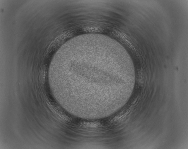 X0000087360645200705181152