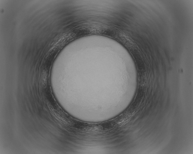 X0000087360646200705181152