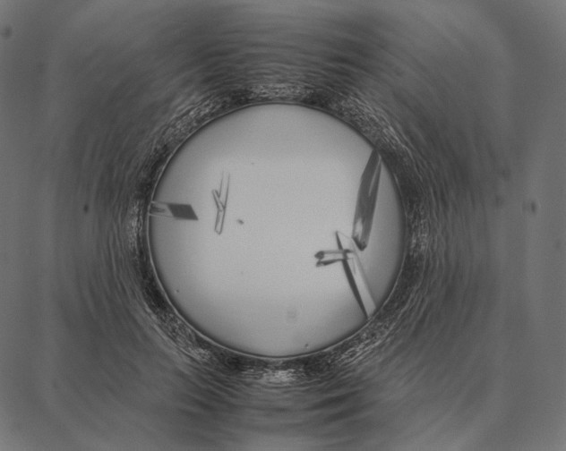 X0000087360647200705181152