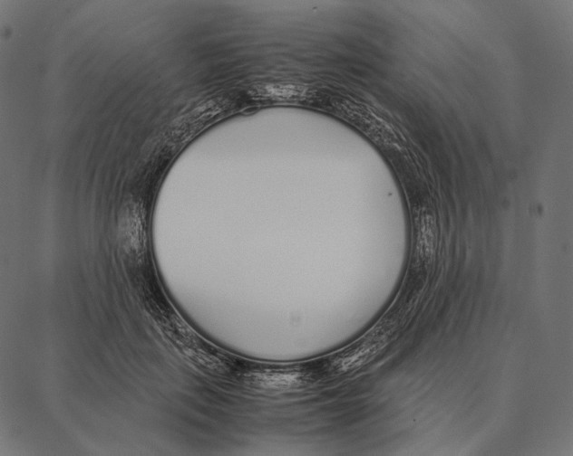 X0000087360651200705181152