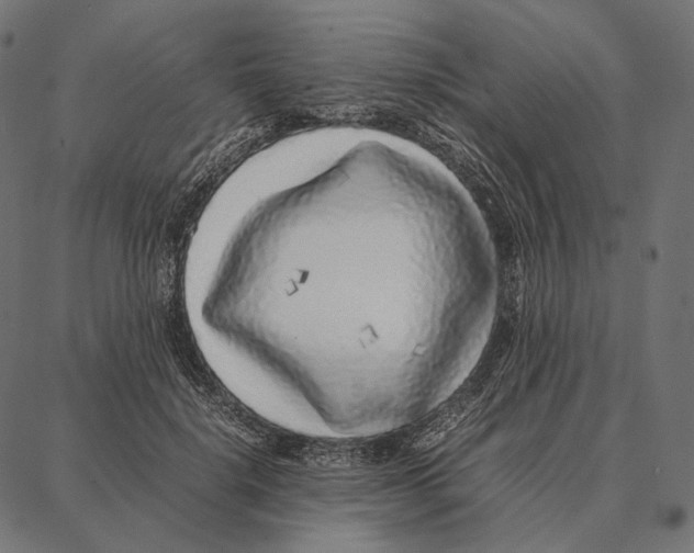 X0000087360652200705181153