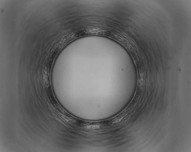 X0000087360653200705181153