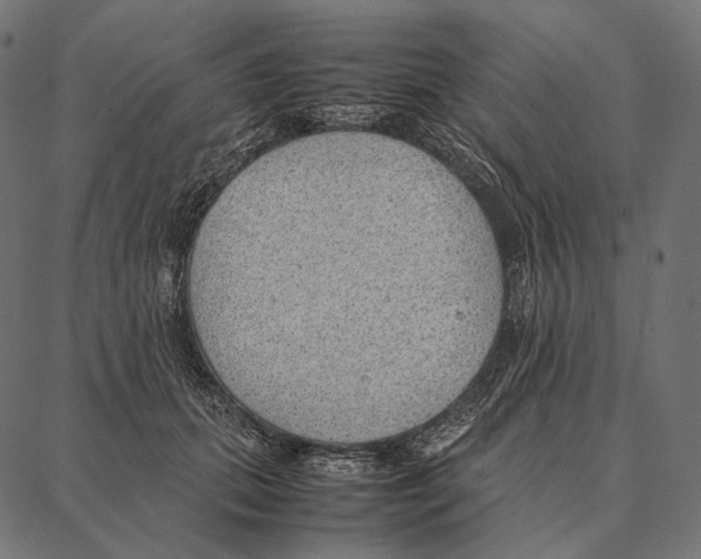 X0000087360655200705181153