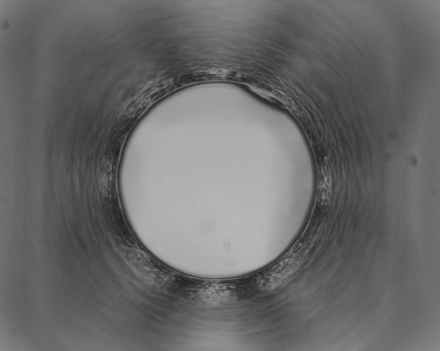 X0000087360656200705181153