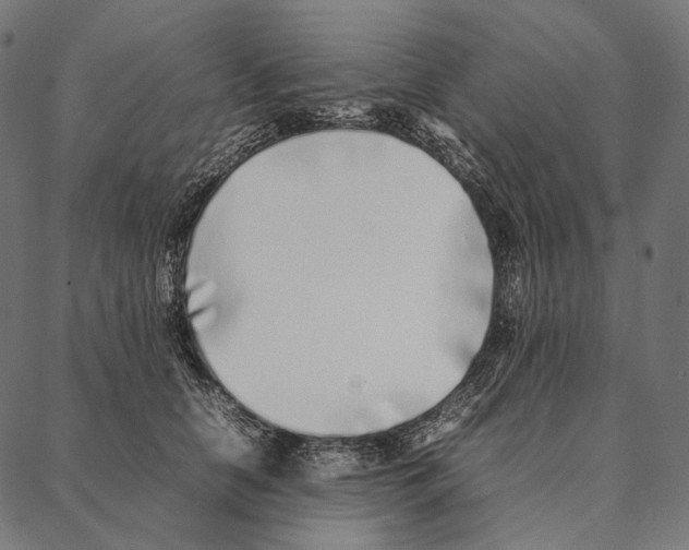 X0000087360658200705181153