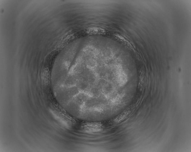 X0000087360659200705181153