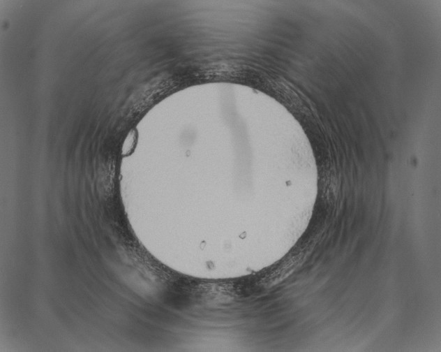 X0000087360660200705181153