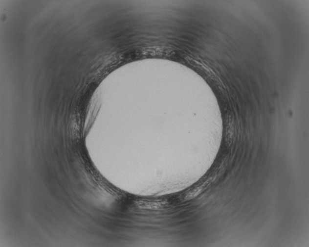 X0000087360661200705181153