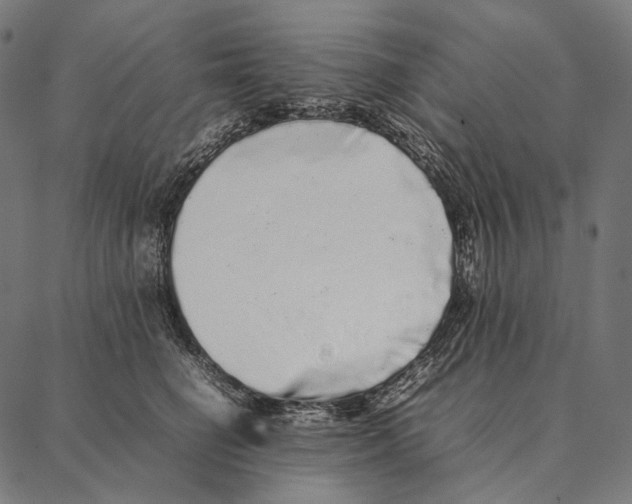 X0000087360662200705181153