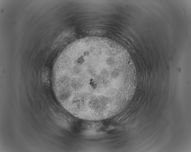 X0000087360663200705181153