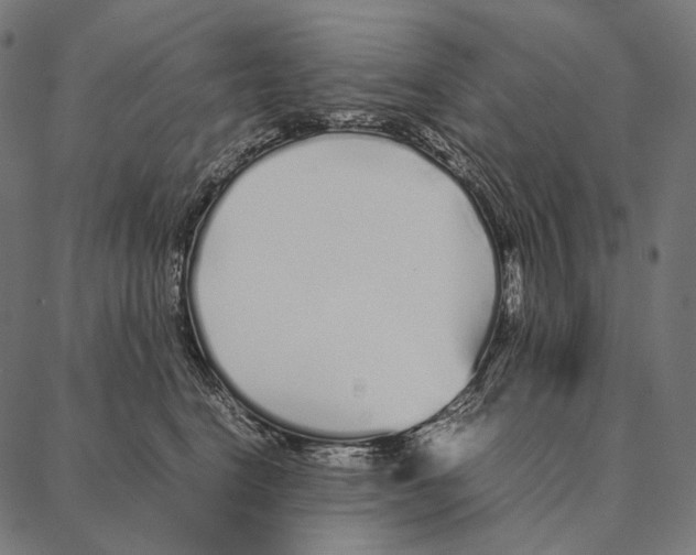 X0000087360664200705181153