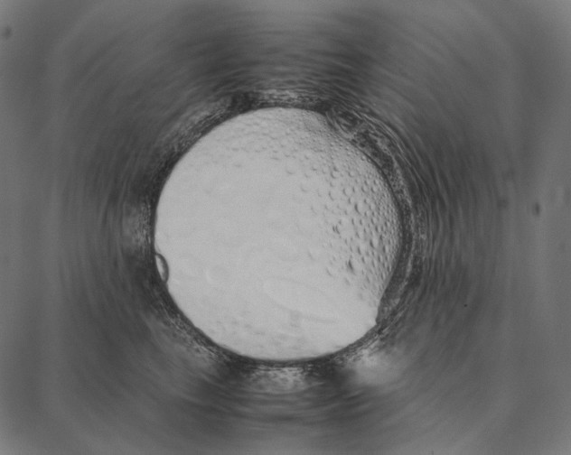 X0000087360665200705181153