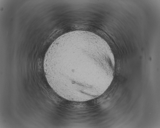 X0000087360667200705181153