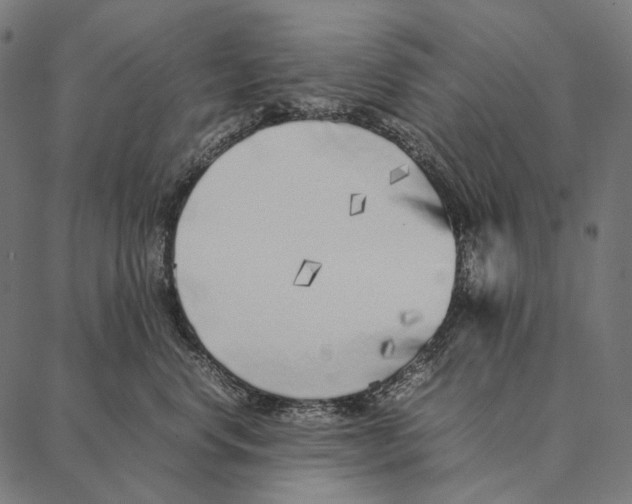 X0000087360668200705181153