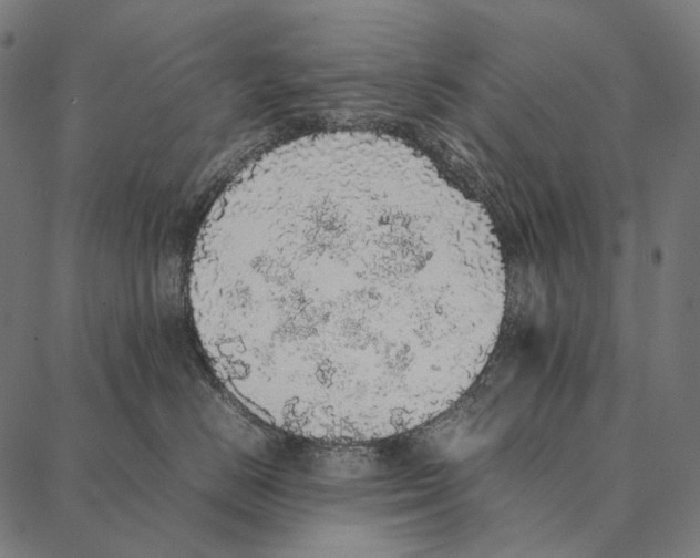 X0000087360670200705181153