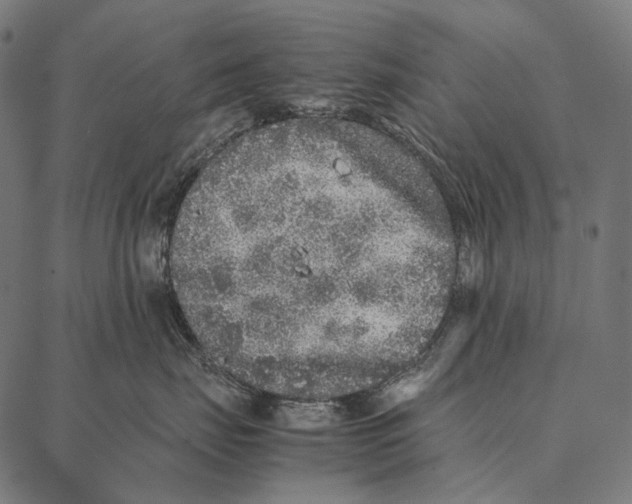 X0000087360671200705181153