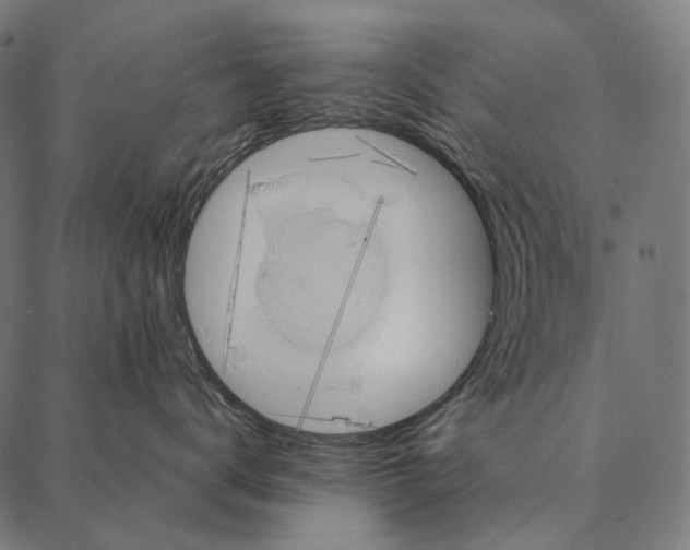 X0000087360672200705181153