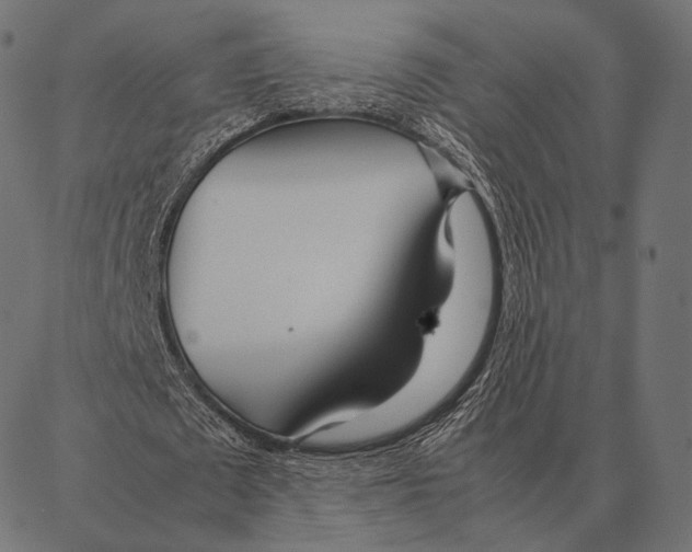 X0000087360673200705181152