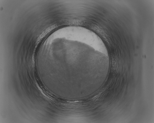 X0000087360674200705181152