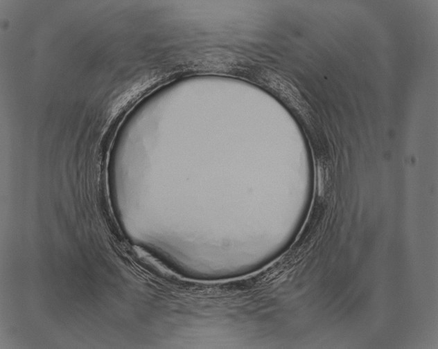 X0000087360675200705181152