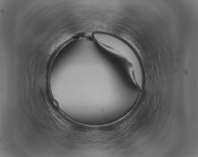 X0000087360677200705181152