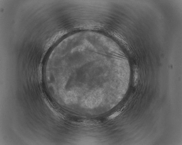 X0000087360678200705181152