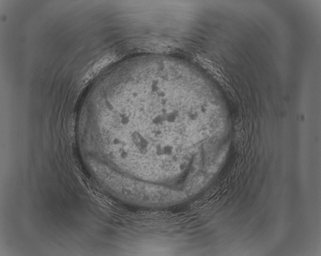 X0000087360679200705181152