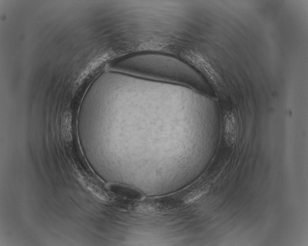 X0000087360684200705181152