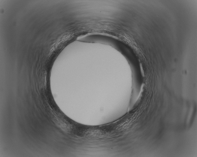 X0000087360685200705181152