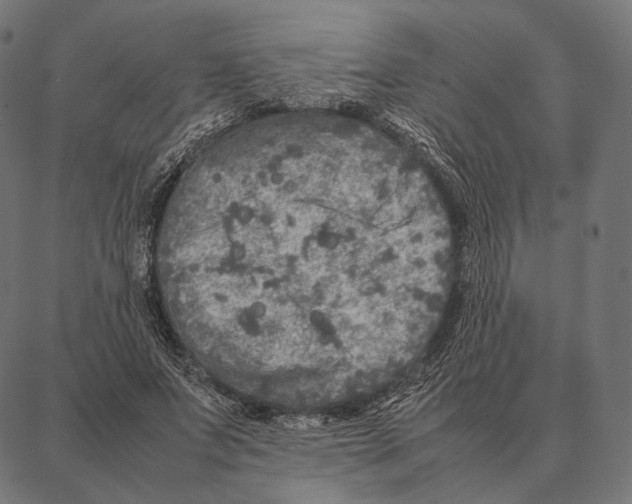 X0000087360687200705181152