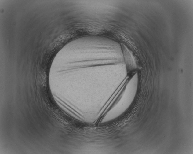 X0000087360689200705181152