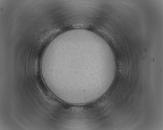 X0000087360690200705181152