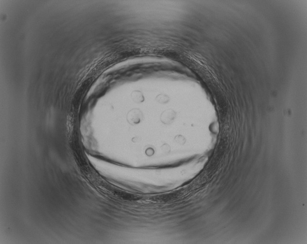 X0000087360691200705181152