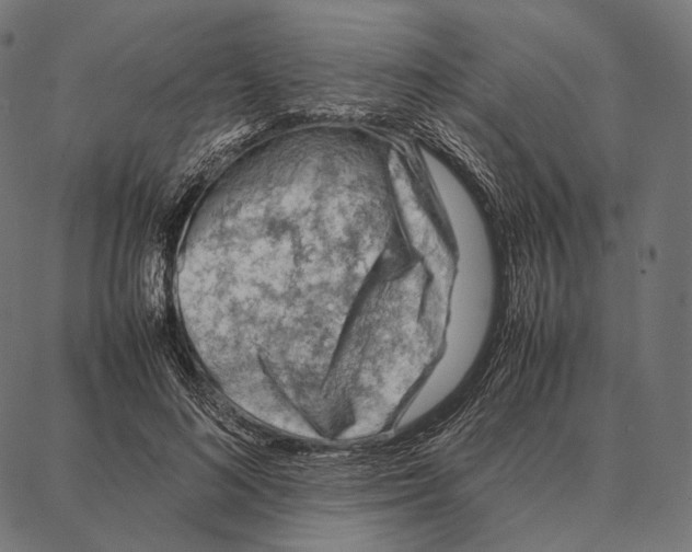 X0000087360692200705181152